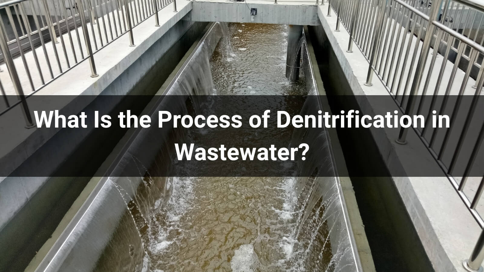 What Is the Process of Denitrification in Wastewater?